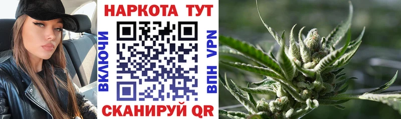 Как найти закладки Шуя Гашиш  COCAIN  МЕТАМФЕТАМИН  Меф  А ПВП 