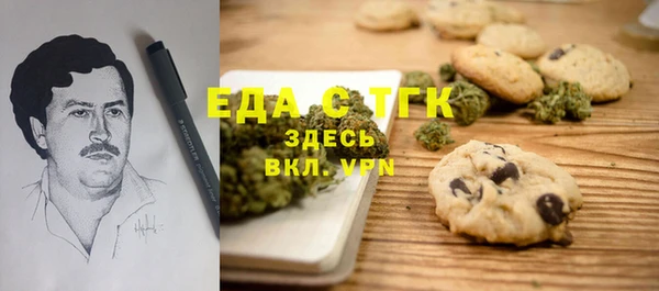 индика Алзамай