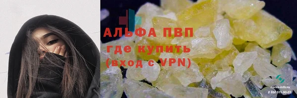 индика Алзамай