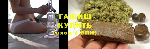 индика Алзамай