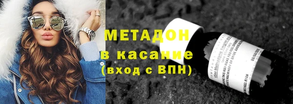 индика Алзамай