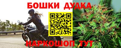шишки Тверь