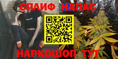 шишки Тверь