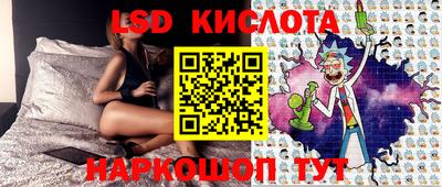 шишки Тверь