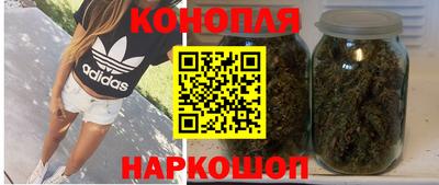 шишки Тверь