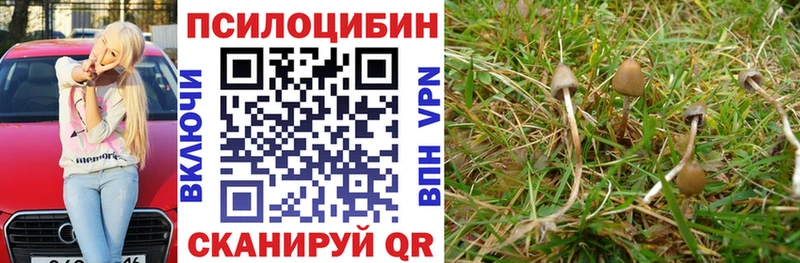 Псилоцибиновые грибы MAGIC MUSHROOMS  где найти   Шуя 
