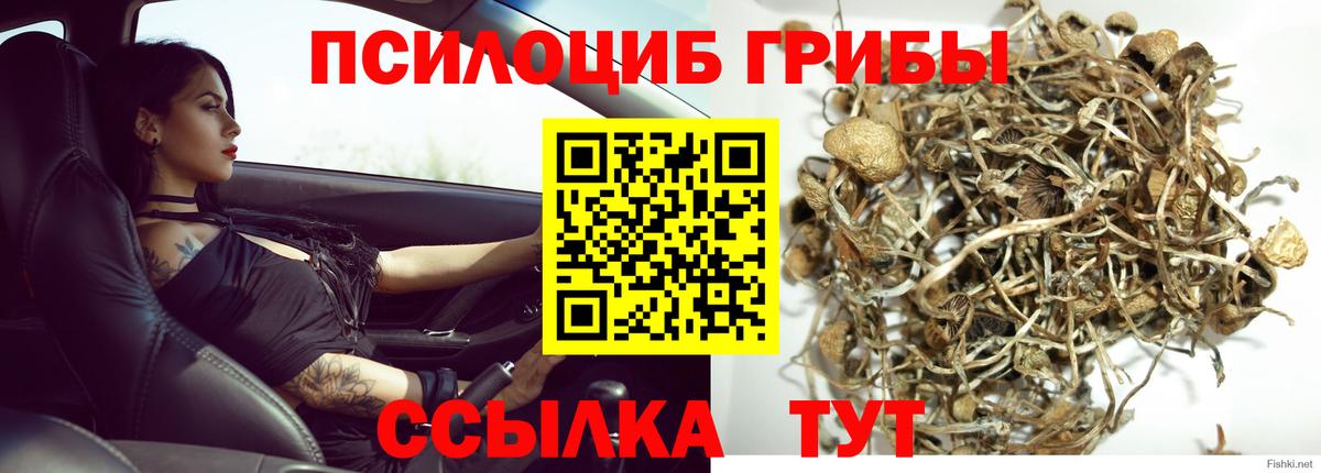Псилоцибиновые грибы MAGIC MUSHROOMS Шуя
